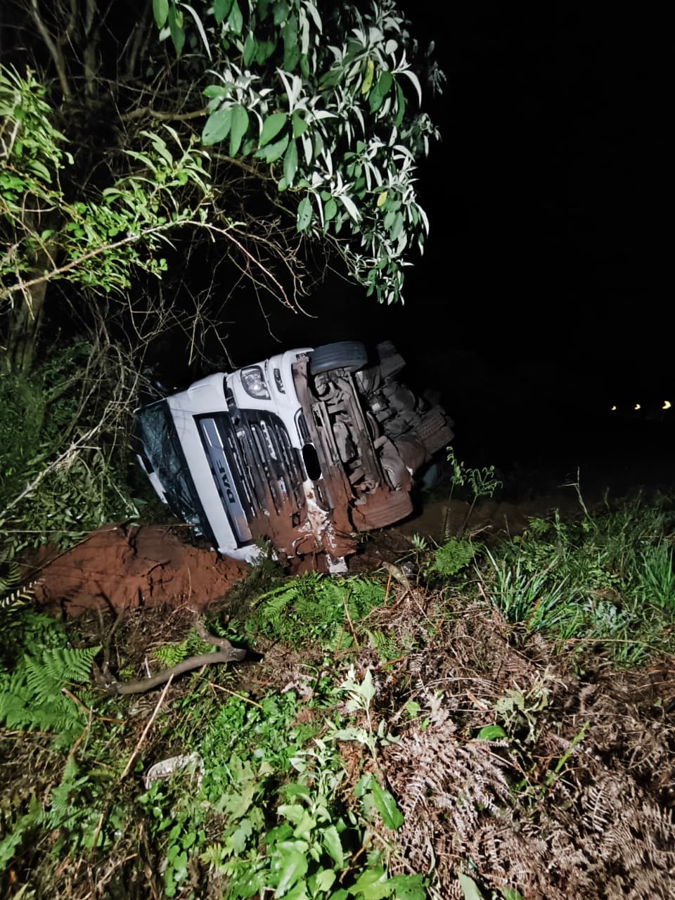 Caminhão sai da pista e tomba na BR-282 em Ponte Serrada